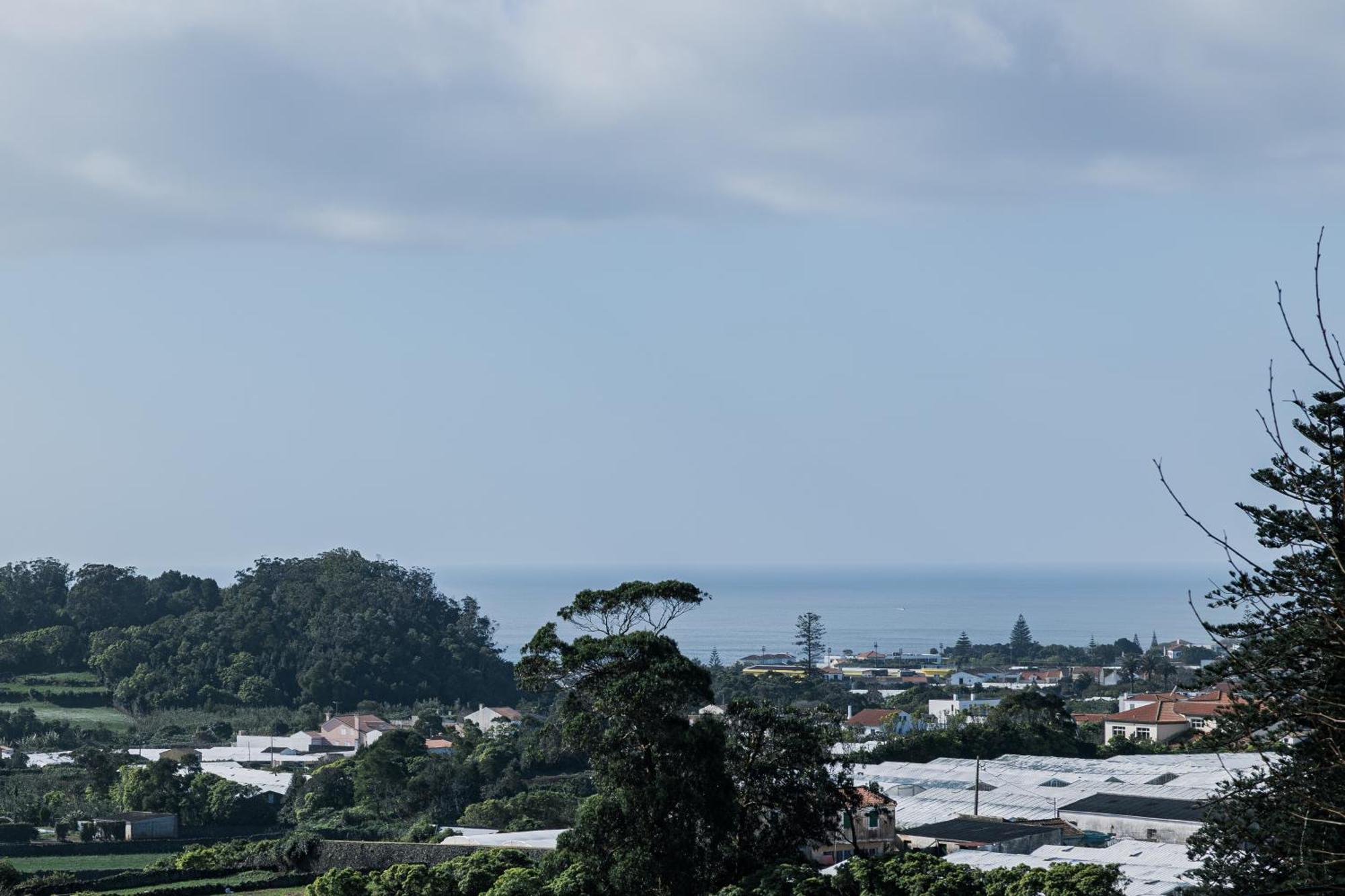 Vila Quinta Da Abelheira São Roque Exteriér fotografie